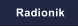 Radionik